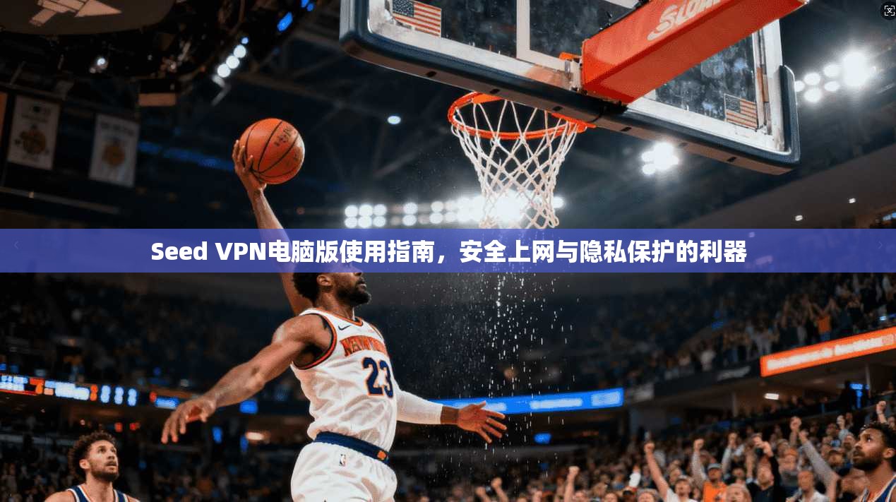 Seed VPN电脑版使用指南,安全上网与隐私保护的利器 Seed VPN电脑版使用指南,安全上网与隐私保护的利器