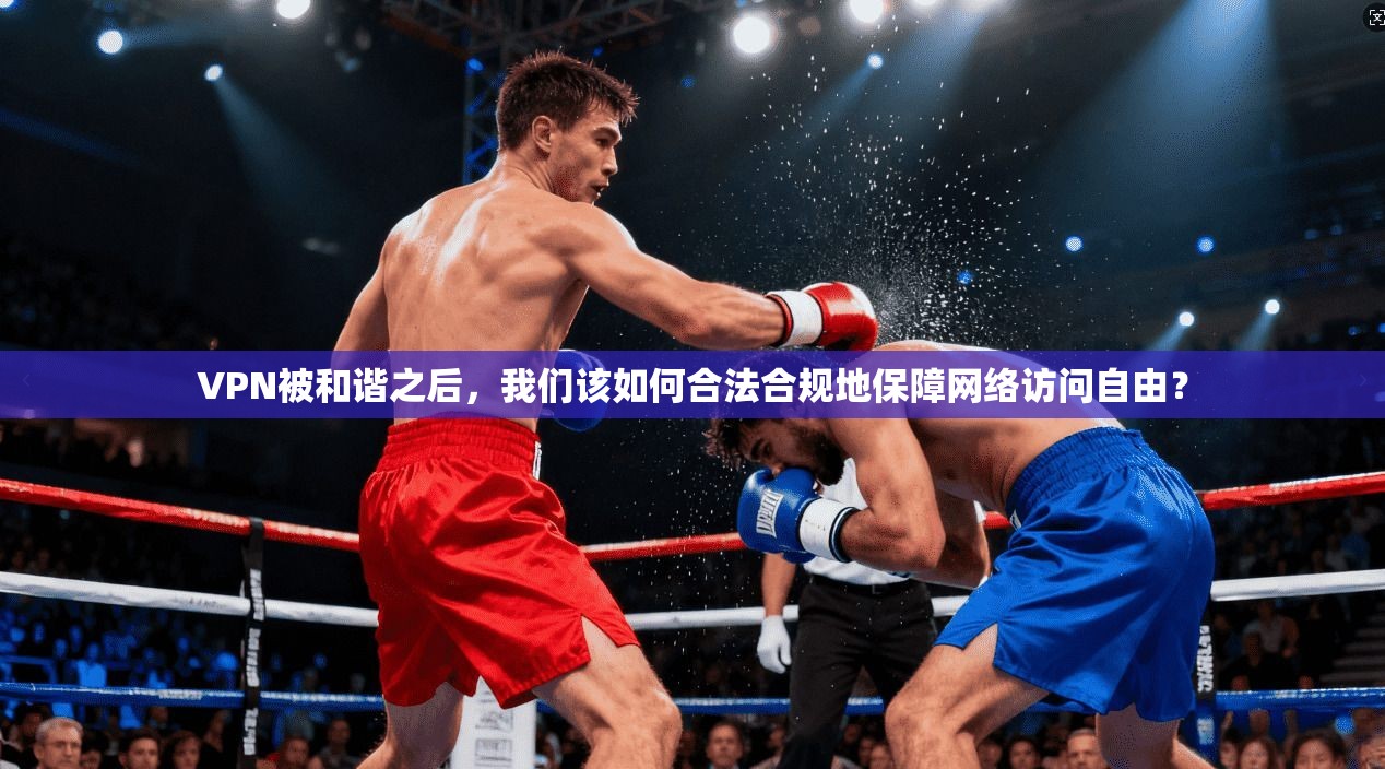 VPN被和谐之后,我们该如何合法合规地保障网络访问自由? VPN被和谐之后,我们该如何合法合规地保障网络访问自由?