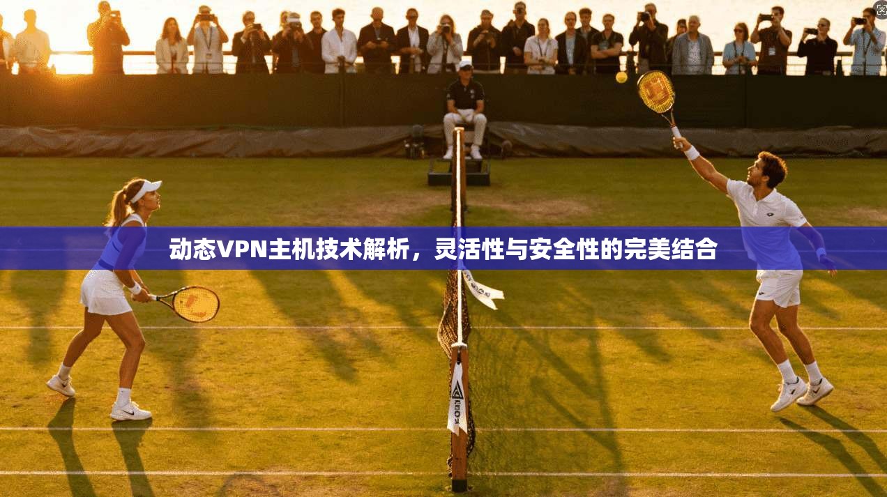 动态VPN主机技术解析,灵活性与安全性的完美结合 动态VPN主机技术解析,灵活性与安全性的完美结合
