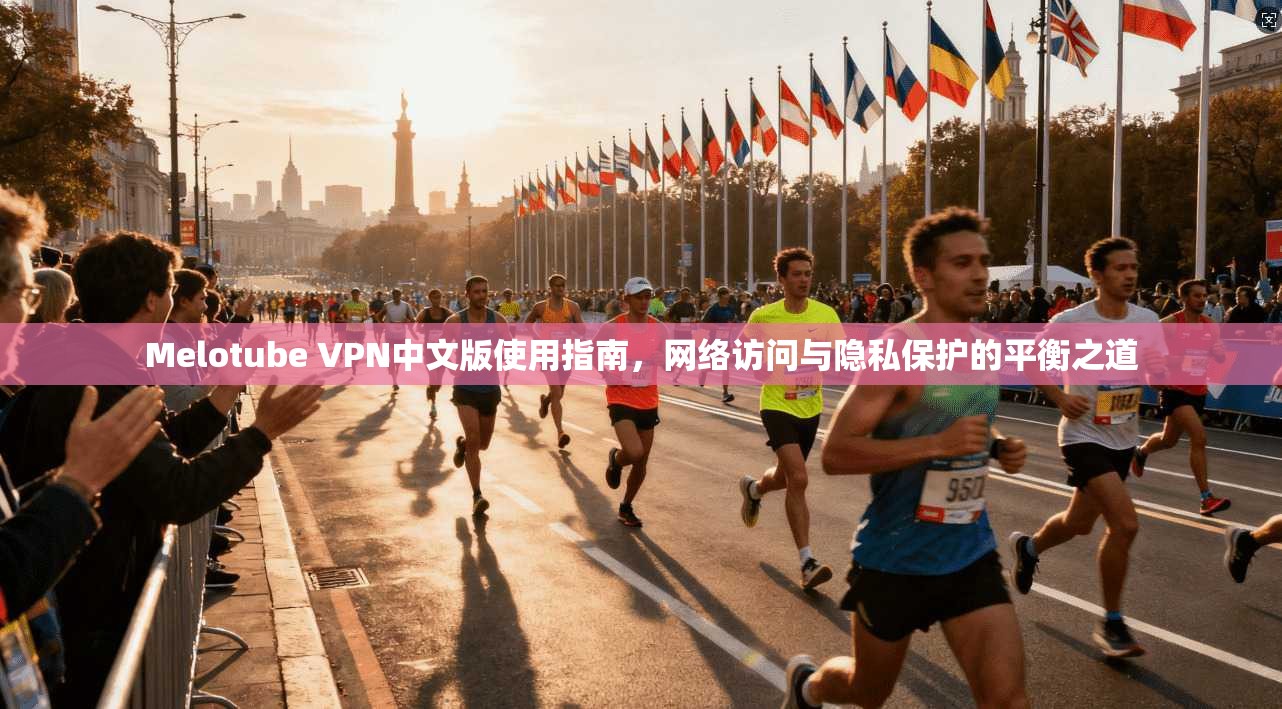 Melotube VPN中文版使用指南，网络访问与隐私保护的平衡之道