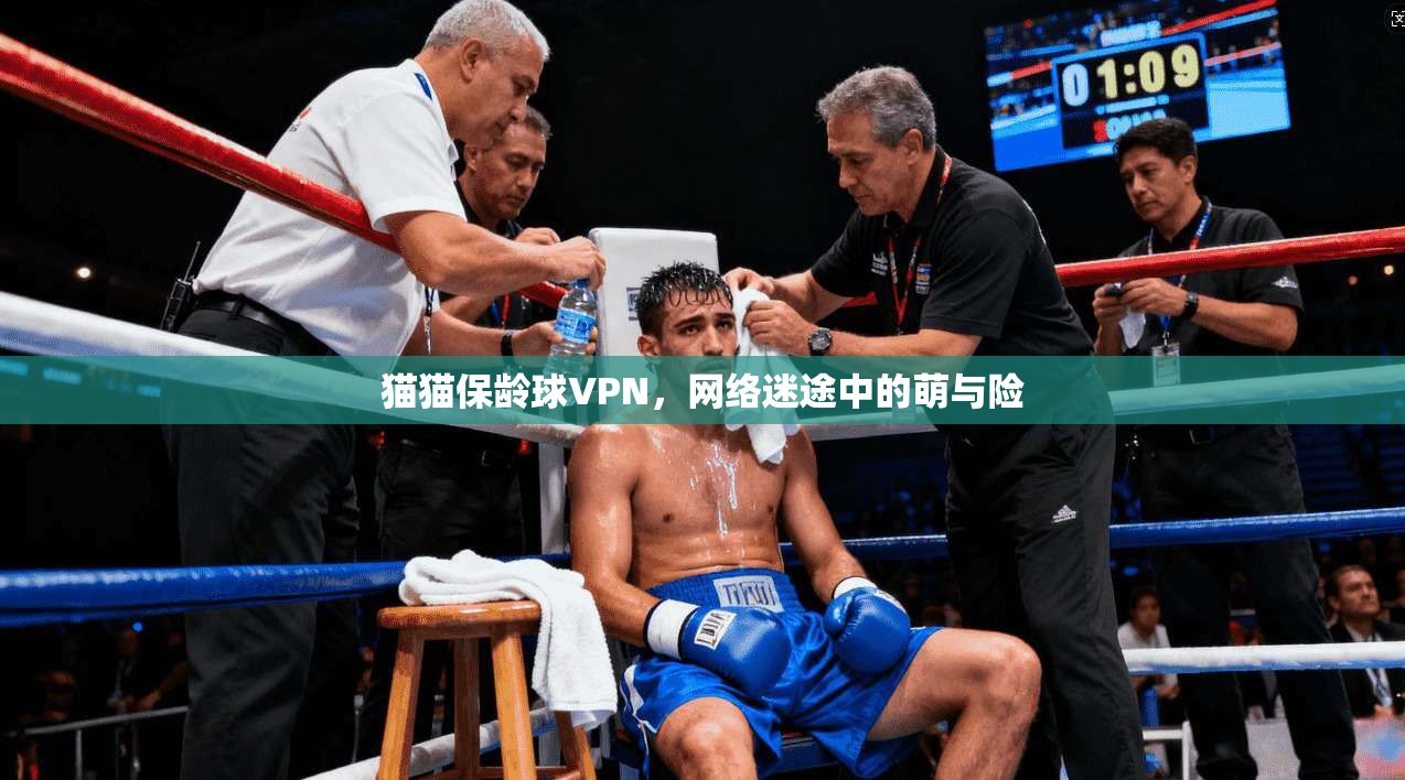 猫猫保龄球VPN,网络迷途中的萌与险 猫猫保龄球VPN,网络迷途中的萌与险