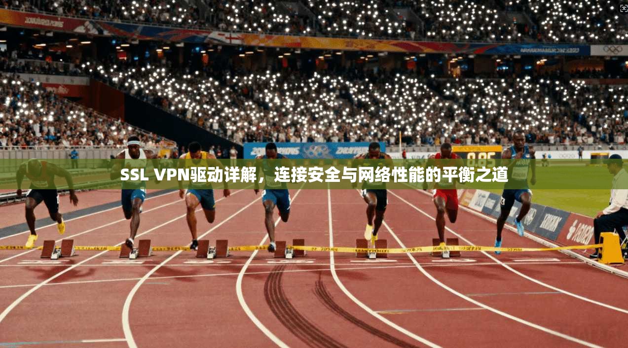 SSL VPN驱动详解,连接安全与网络性能的平衡之道 SSL VPN驱动详解,连接安全与网络性能的平衡之道