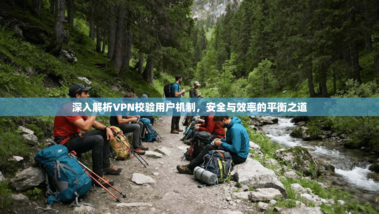 深入解析VPN校验用户机制，安全与效率的平衡之道