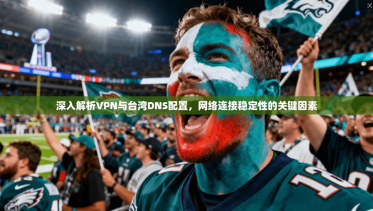 深入解析VPN与台湾DNS配置，网络连接稳定性的关键因素