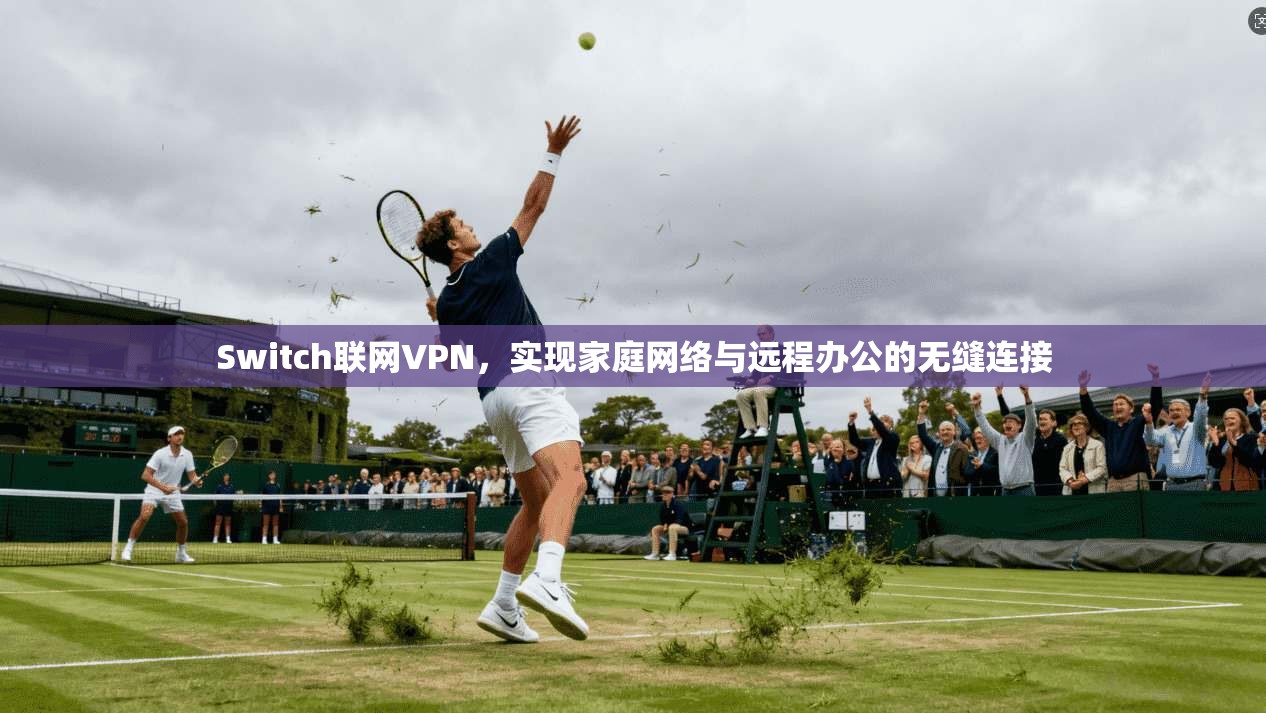 Switch联网VPN,实现家庭网络与远程办公的无缝连接 Switch联网VPN,实现家庭网络与远程办公的无缝连接