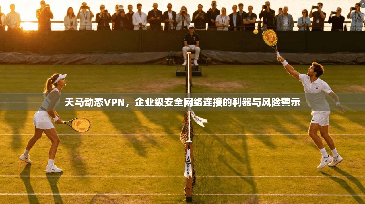 天马动态VPN，企业级安全网络连接的利器与风险警示