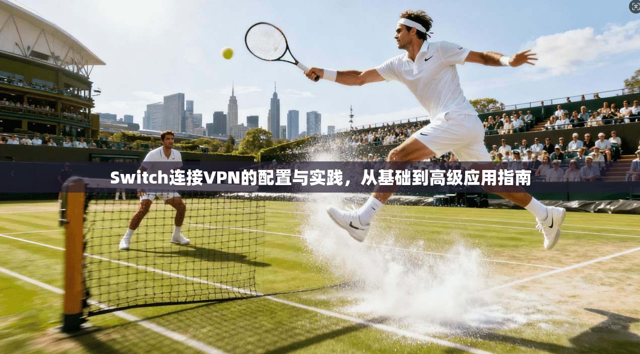 Switch连接VPN的配置与实践，从基础到高级应用指南
