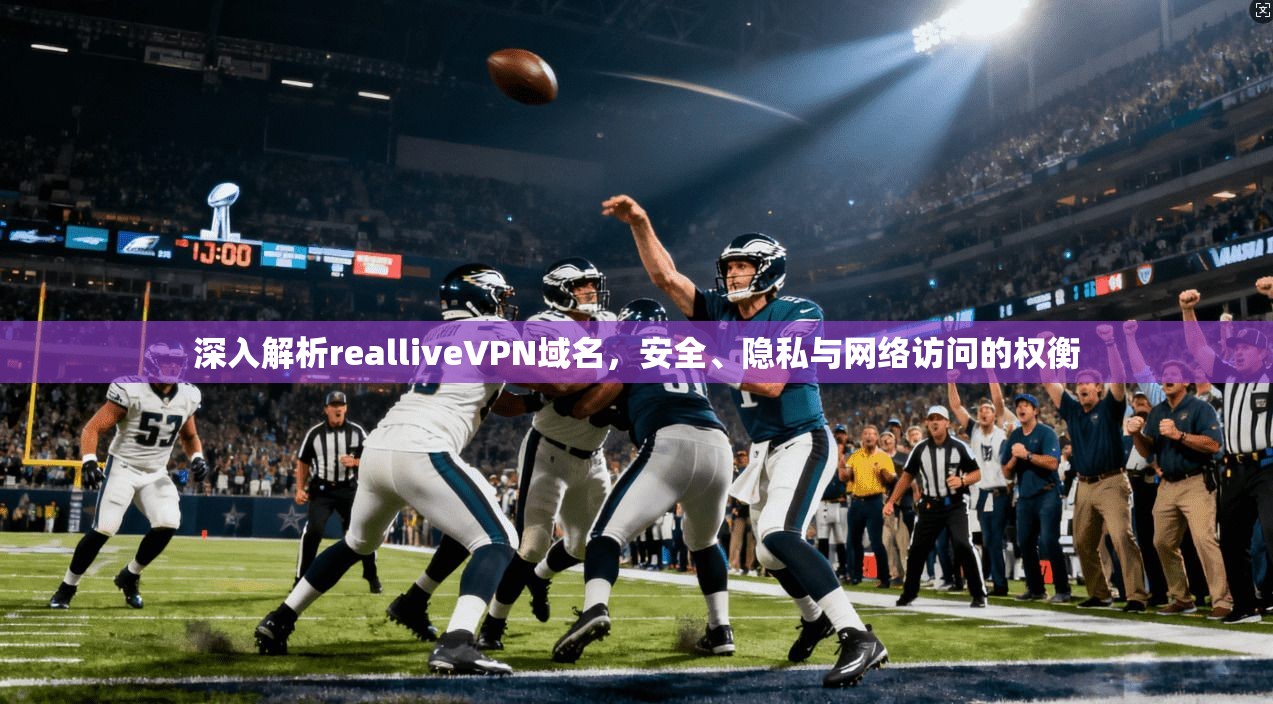 深入解析realliveVPN域名,安全、隐私与网络访问的权衡