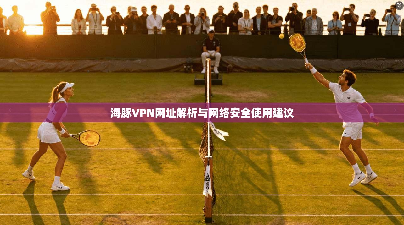 海豚VPN网址解析与网络安全使用建议