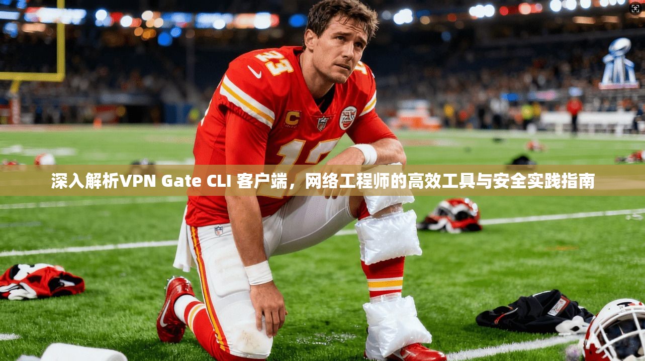 深入解析VPN Gate CLI 客户端,网络工程师的高效工具与安全实践指南 深入解析VPN Gate CLI 客户端,网络工程师的高效工具与安全实践指南