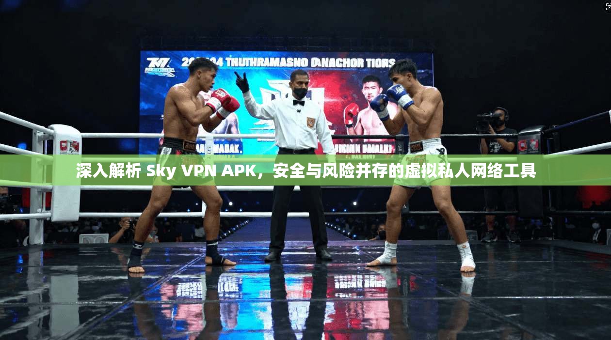 深入解析 Sky VPN APK,安全与风险并存的虚拟私人网络工具 深入解析 Sky VPN APK,安全与风险并存的虚拟私人网络工具