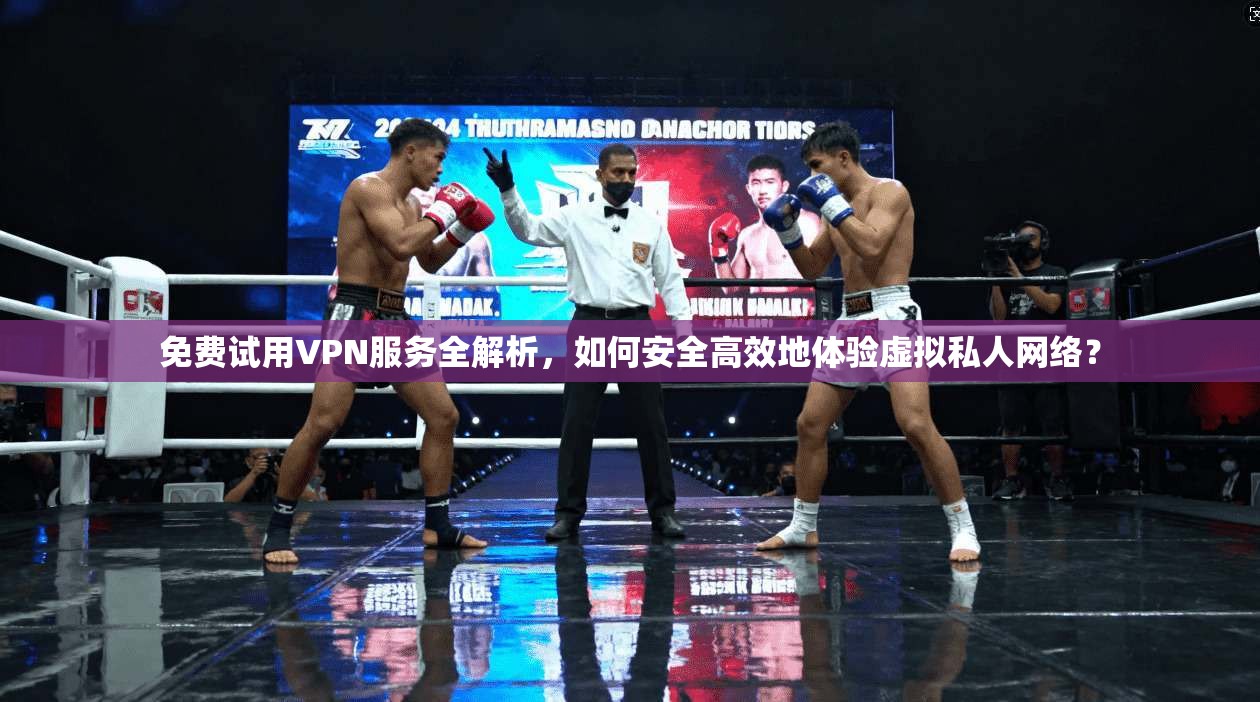 免费试用VPN服务全解析，如何安全高效地体验虚拟私人网络？