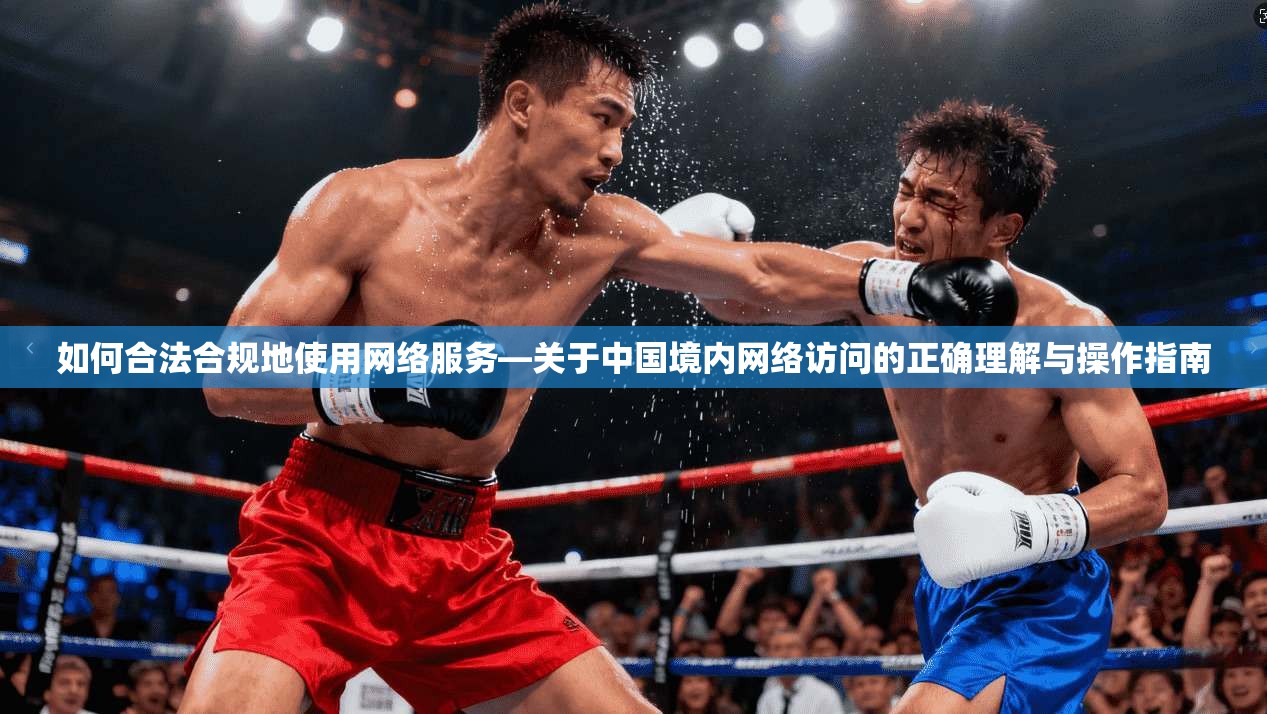 如何合法合规地使用网络服务—关于中国境内网络访问的正确理解与操作指南