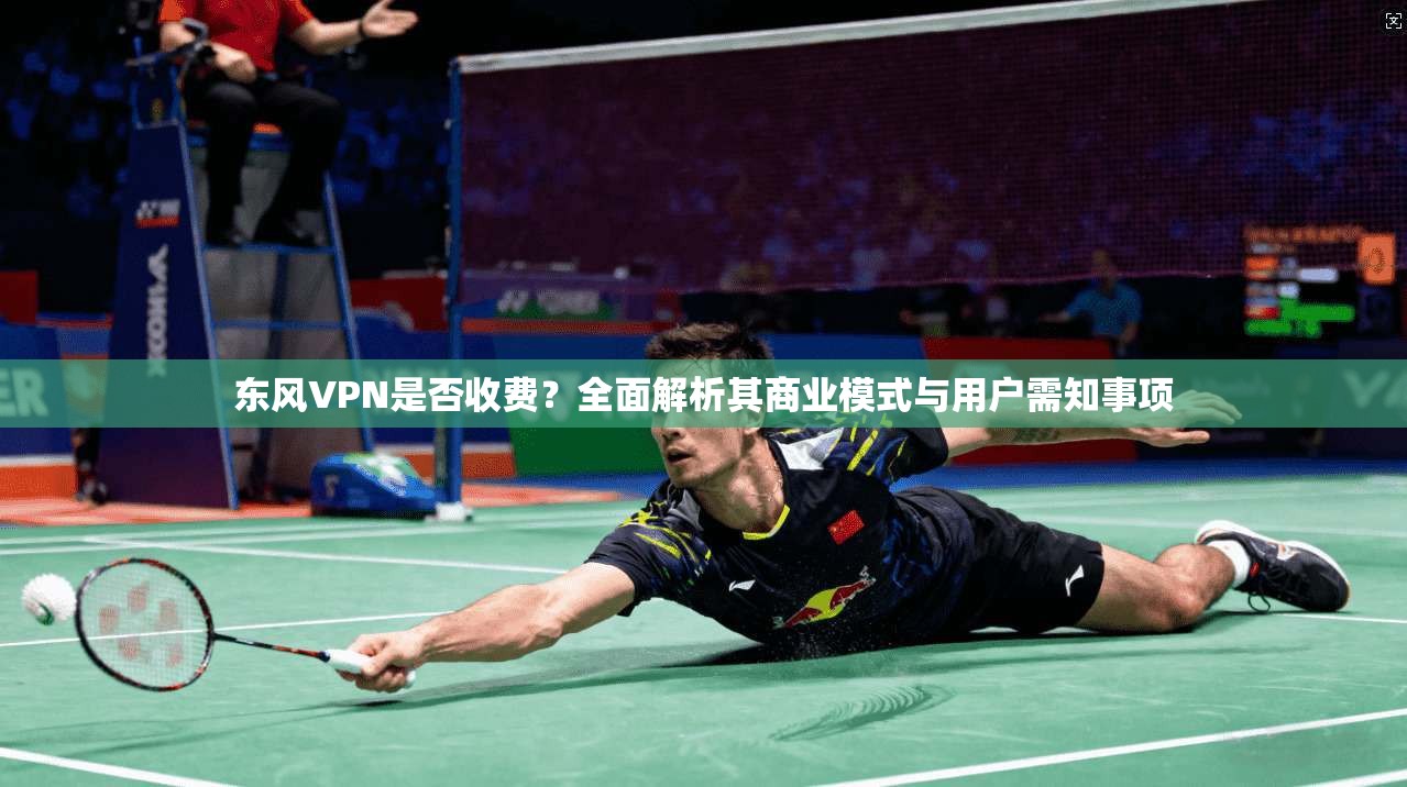 东风VPN是否收费？全面解析其商业模式与用户需知事项