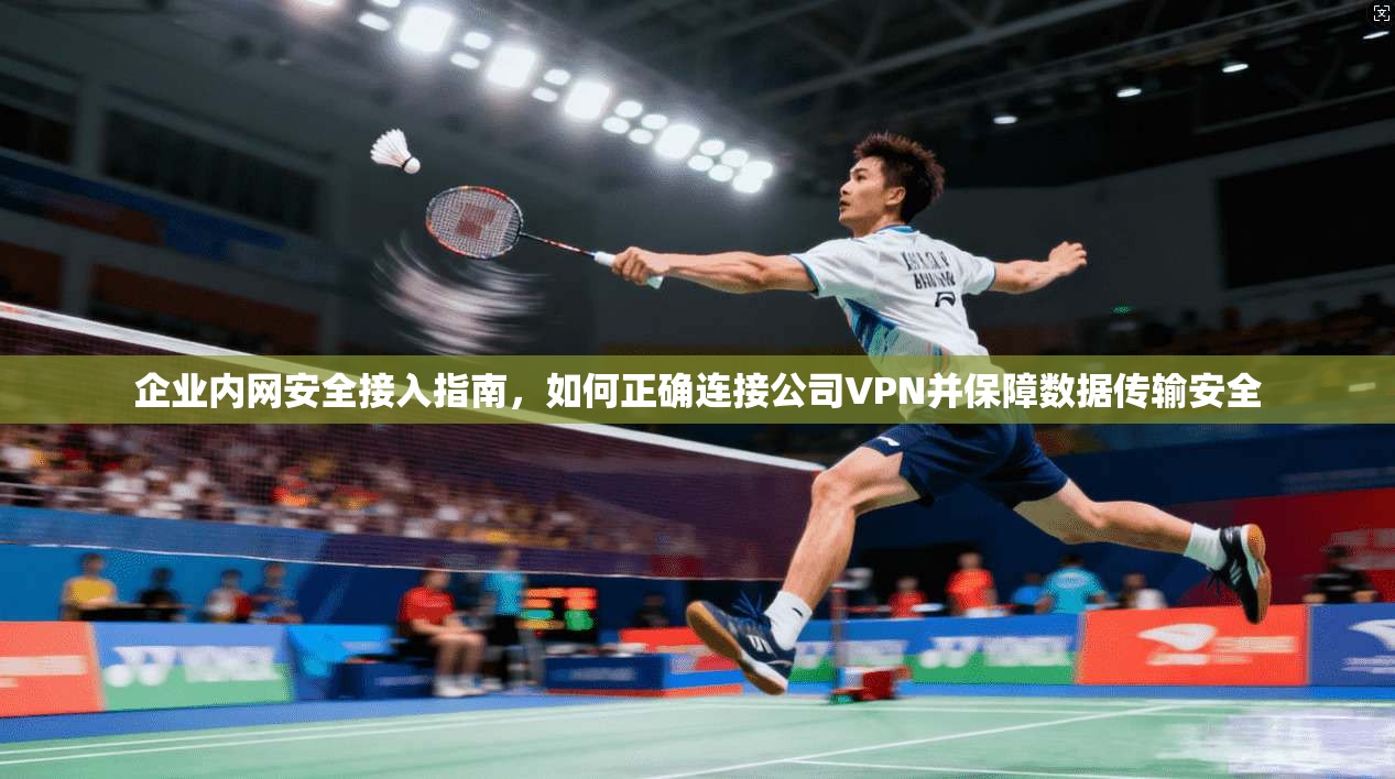 企业内网安全接入指南，如何正确连接公司VPN并保障数据传输安全