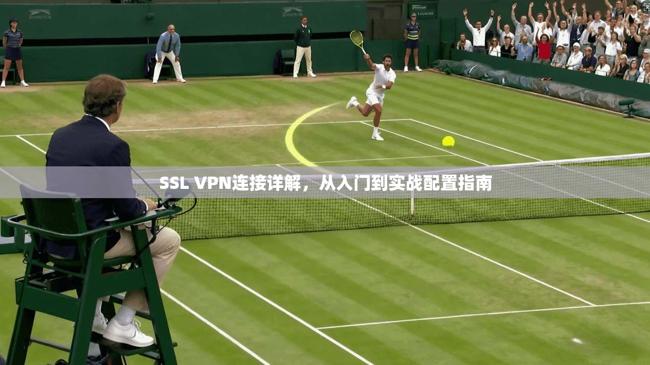 SSL VPN连接详解,从入门到实战配置指南 SSL VPN连接详解,从入门到实战配置指南