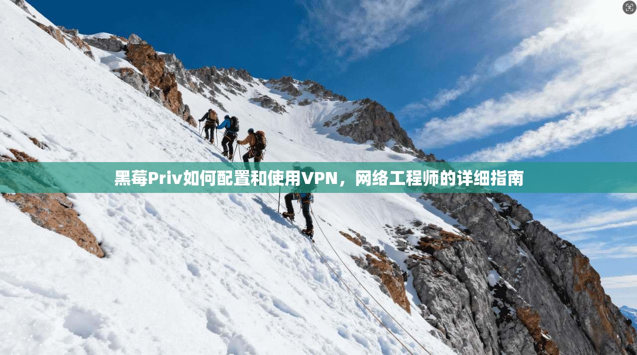 黑莓Priv如何配置和使用VPN，网络工程师的详细指南