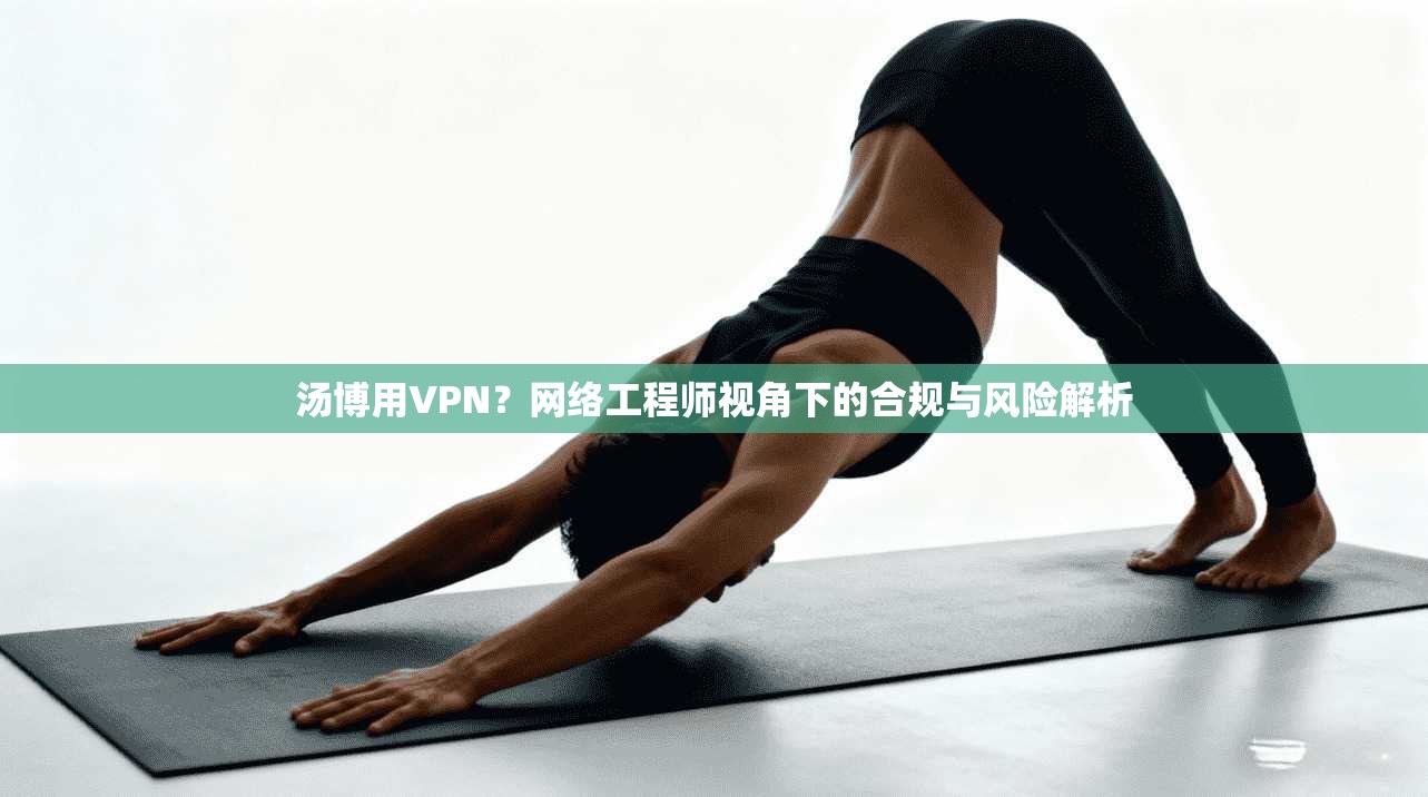 汤博用VPN?网络工程师视角下的合规与风险解析 汤博用VPN?网络工程师视角下的合规与风险解析