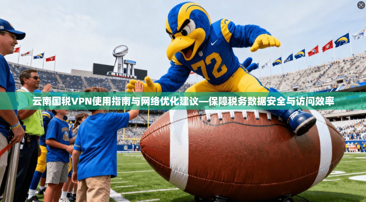 云南国税VPN使用指南与网络优化建议—保障税务数据安全与访问效率