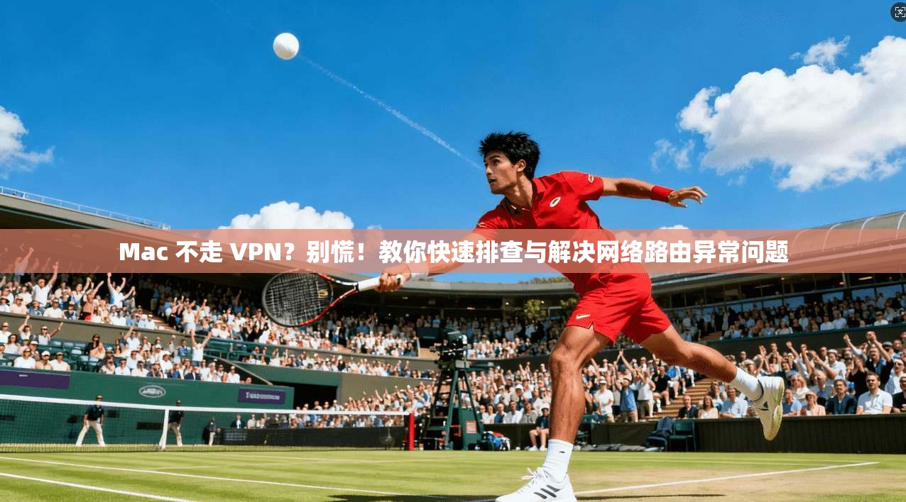 Mac 不走 VPN？别慌！教你快速排查与解决网络路由异常问题