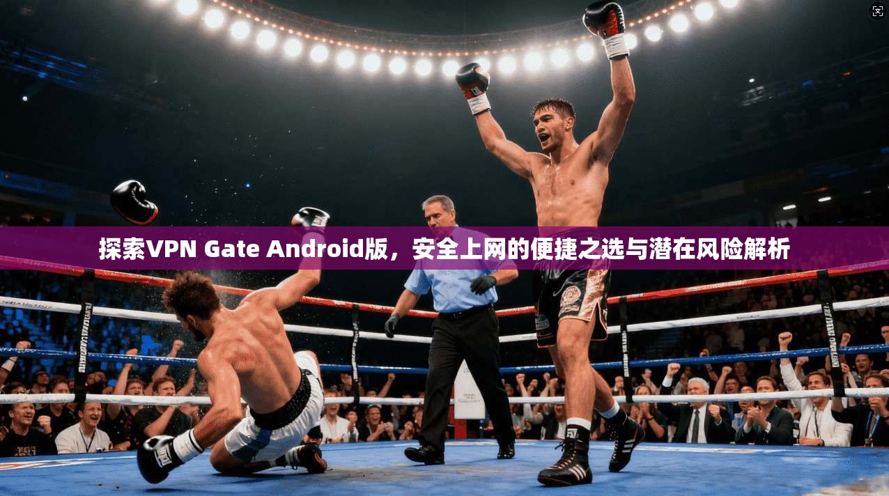 探索VPN Gate Android版，安全上网的便捷之选与潜在风险解析