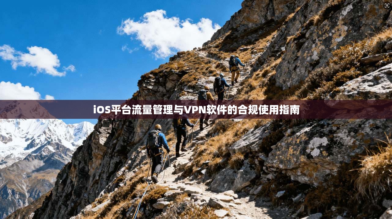 iOS平台流量管理与VPN软件的合规使用指南