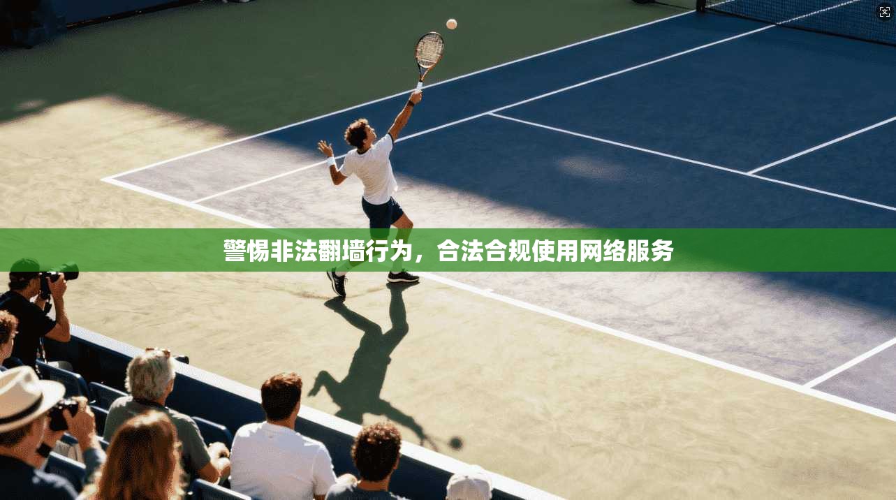 警惕非法翻墙行为，合法合规使用网络服务