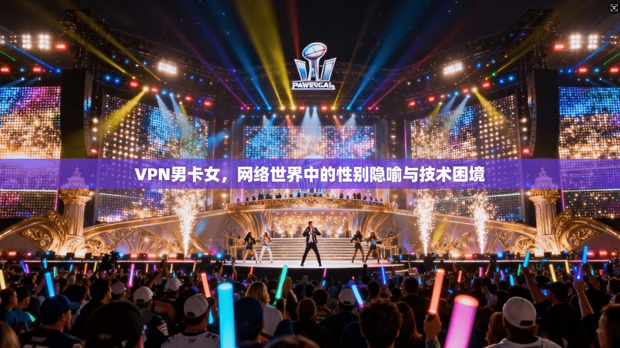 VPN男卡女，网络世界中的性别隐喻与技术困境