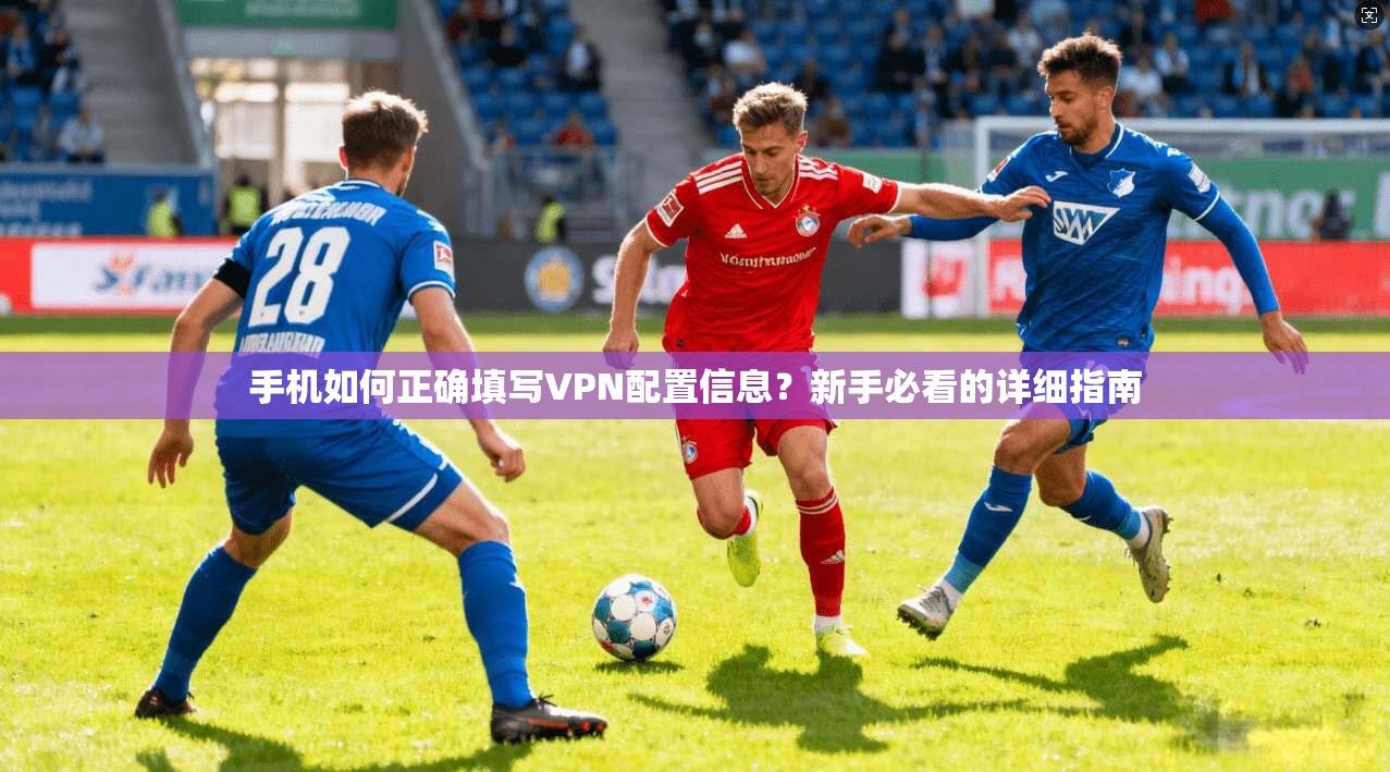 手机如何正确填写VPN配置信息？新手必看的详细指南