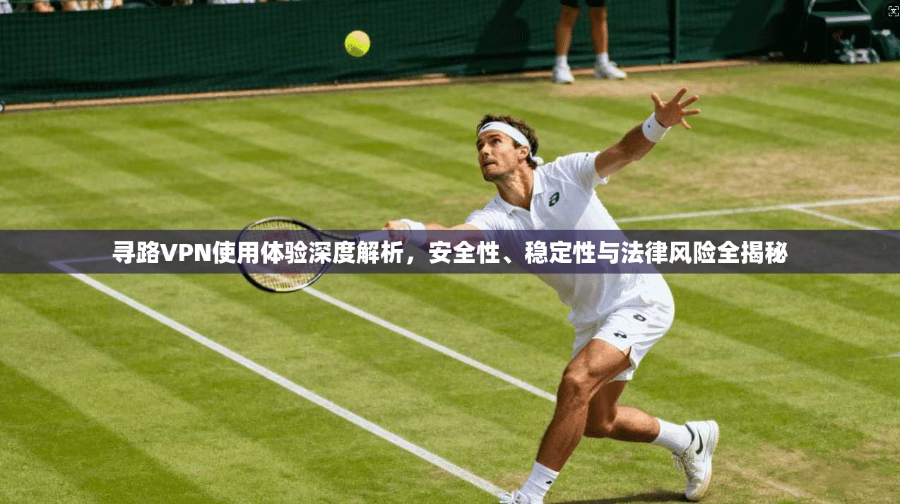 寻路VPN使用体验深度解析，安全性、稳定性与法律风险全揭秘