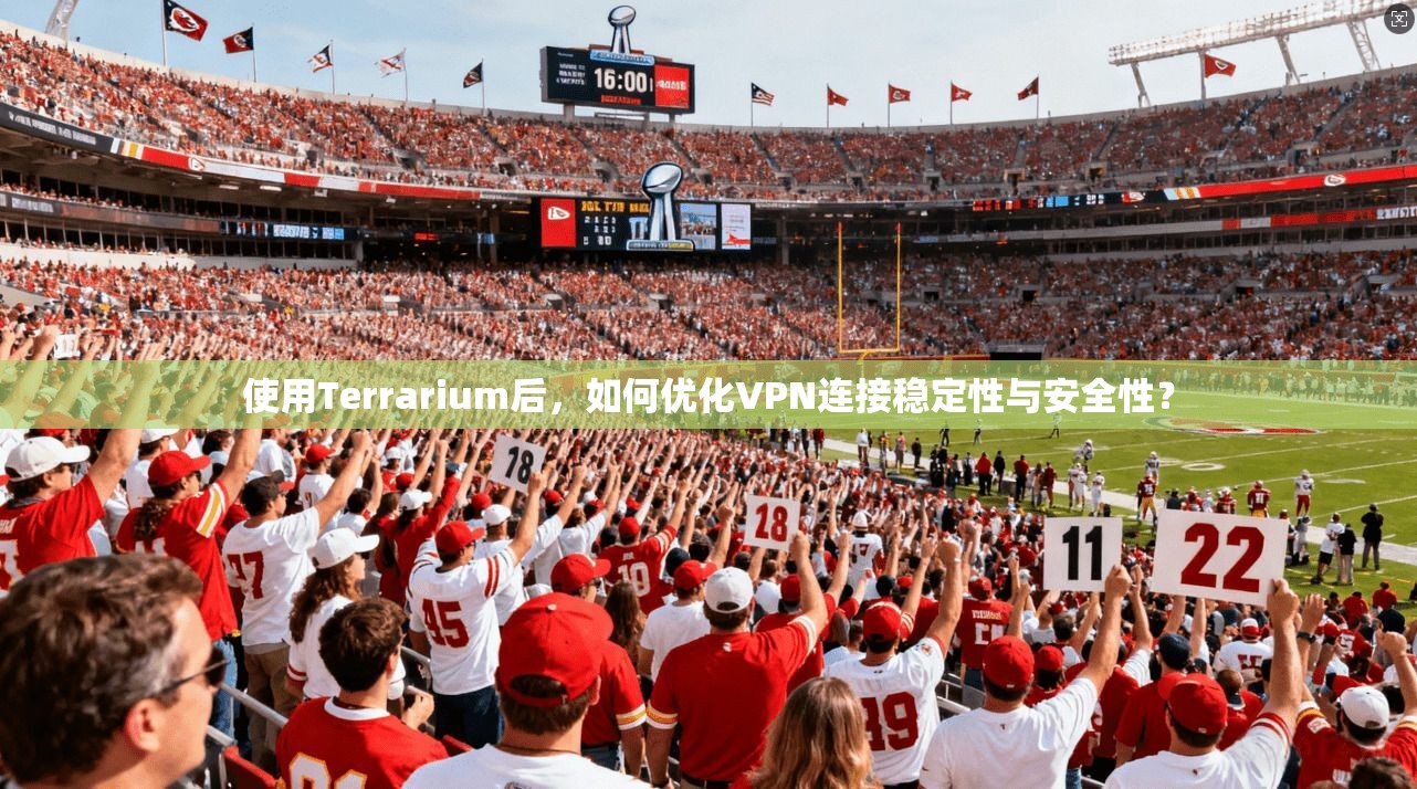 使用Terrarium后，如何优化VPN连接稳定性与安全性？