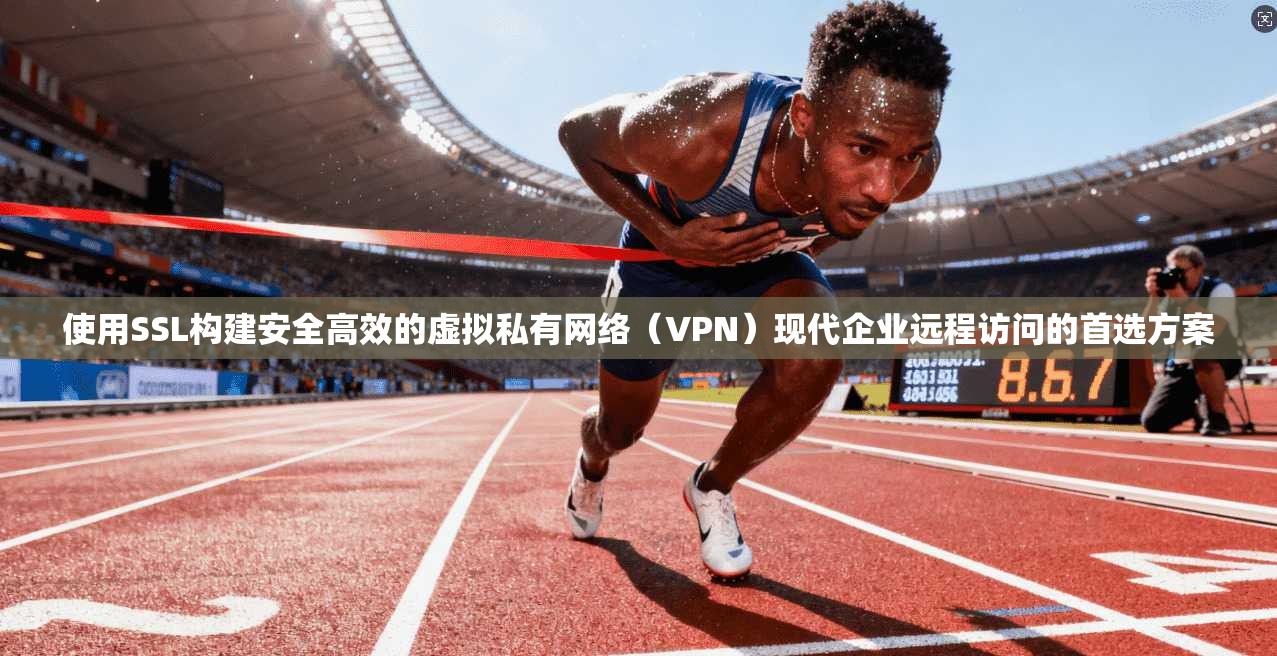 使用SSL构建安全高效的虚拟私有网络（VPN）现代企业远程访问的首选方案