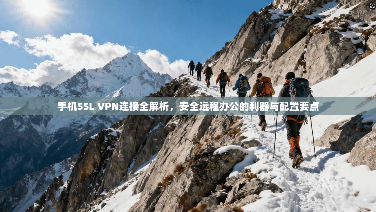 手机SSL VPN连接全解析,安全远程办公的利器与配置要点 手机SSL VPN连接全解析,安全远程办公的利器与配置要点