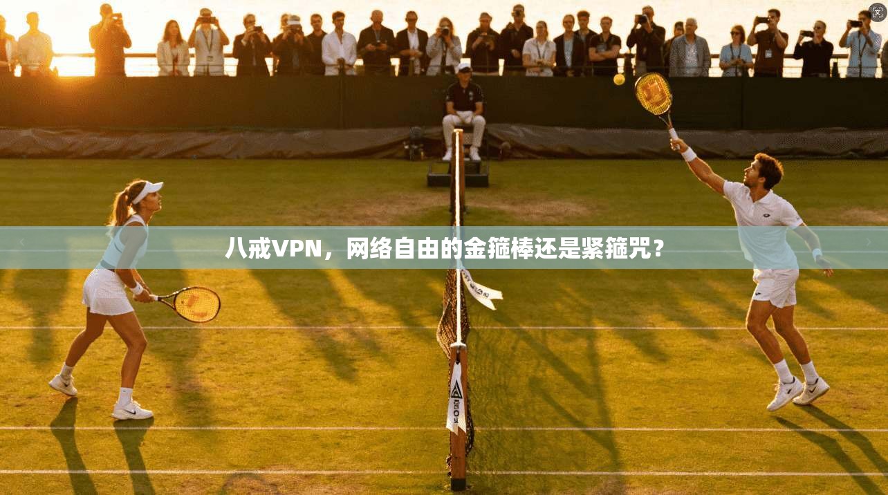 八戒VPN，网络自由的金箍棒还是紧箍咒？