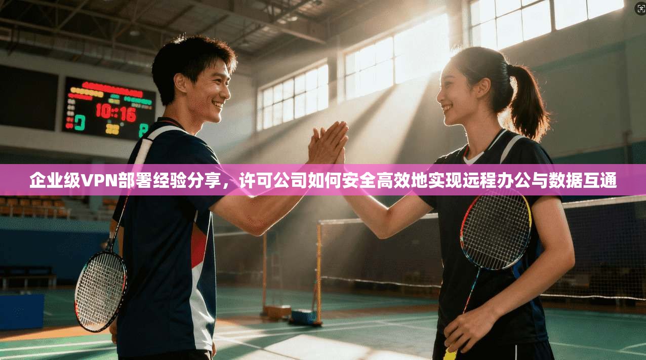 企业级VPN部署经验分享,许可公司如何安全高效地实现远程办公与数据互通