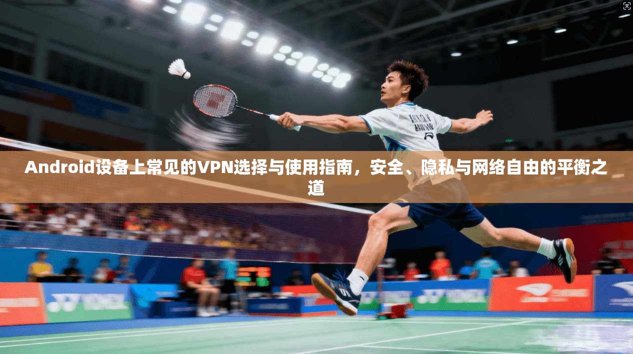 Android设备上常见的VPN选择与使用指南,安全、隐私与网络自由的平衡之道