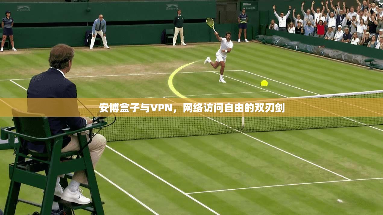 安博盒子与VPN，网络访问自由的双刃剑