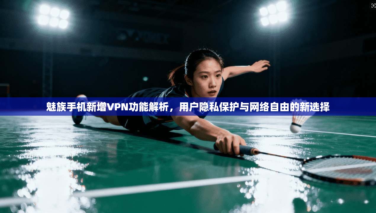 魅族手机新增VPN功能解析，用户隐私保护与网络自由的新选择