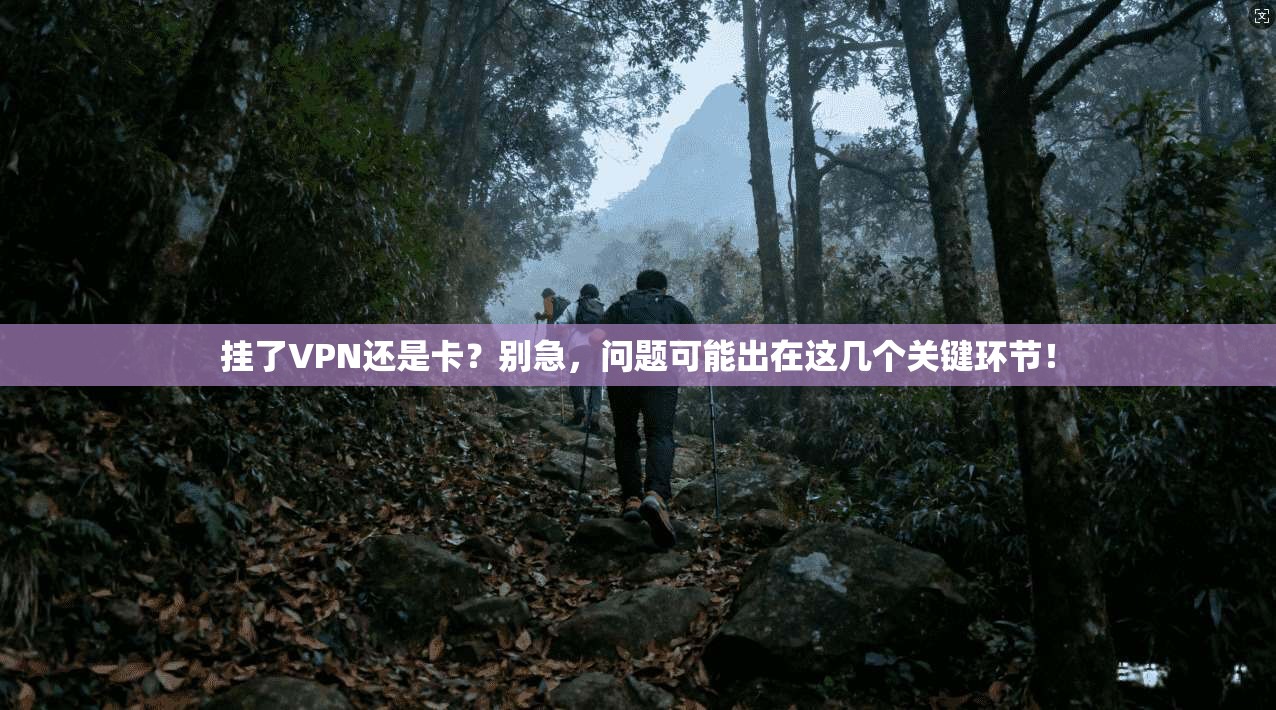 挂了VPN还是卡？别急，问题可能出在这几个关键环节！