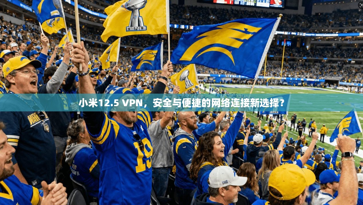 小米12.5 VPN,安全与便捷的网络连接新选择?