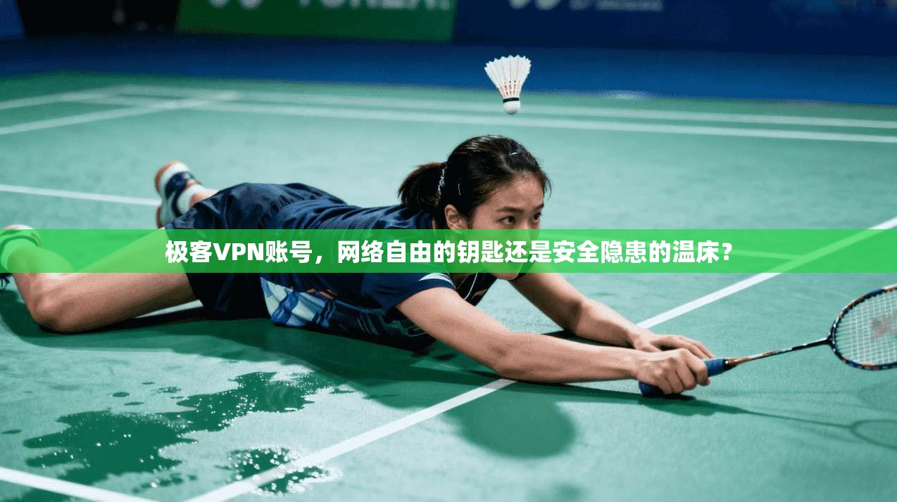 极客VPN账号，网络自由的钥匙还是安全隐患的温床？