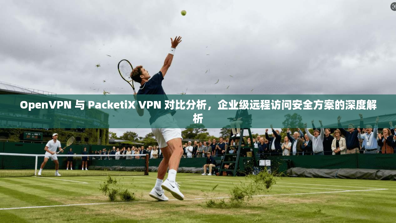 OpenVPN 与 PacketiX VPN 对比分析,企业级远程访问安全方案的深度解析