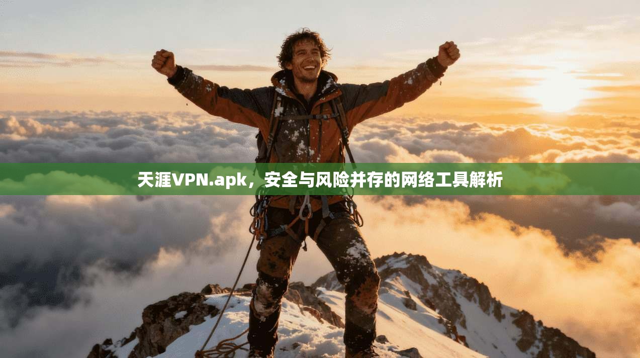 天涯VPN.apk，安全与风险并存的网络工具解析