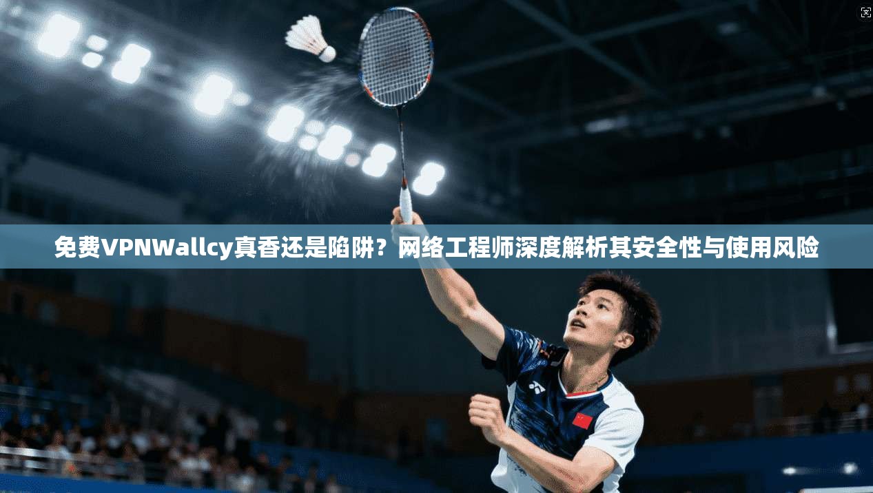 免费VPNWallcy真香还是陷阱？网络工程师深度解析其安全性与使用风险
