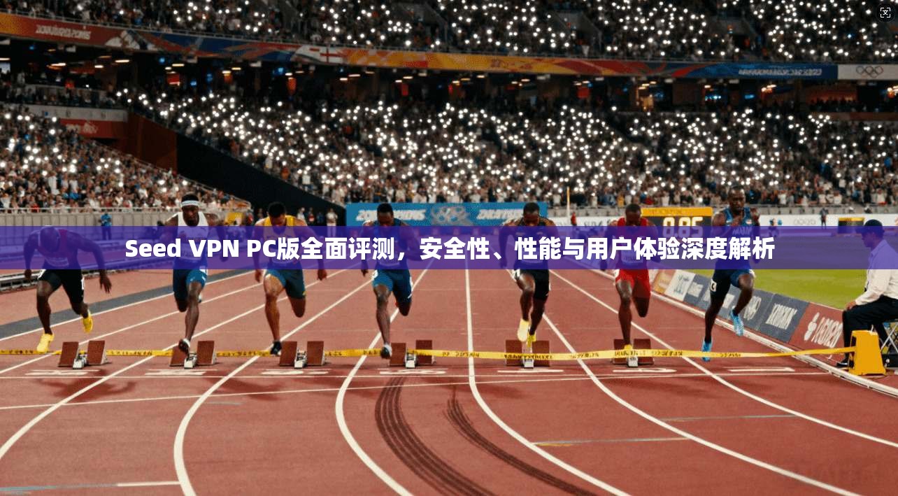 Seed VPN PC版全面评测，安全性、性能与用户体验深度解析