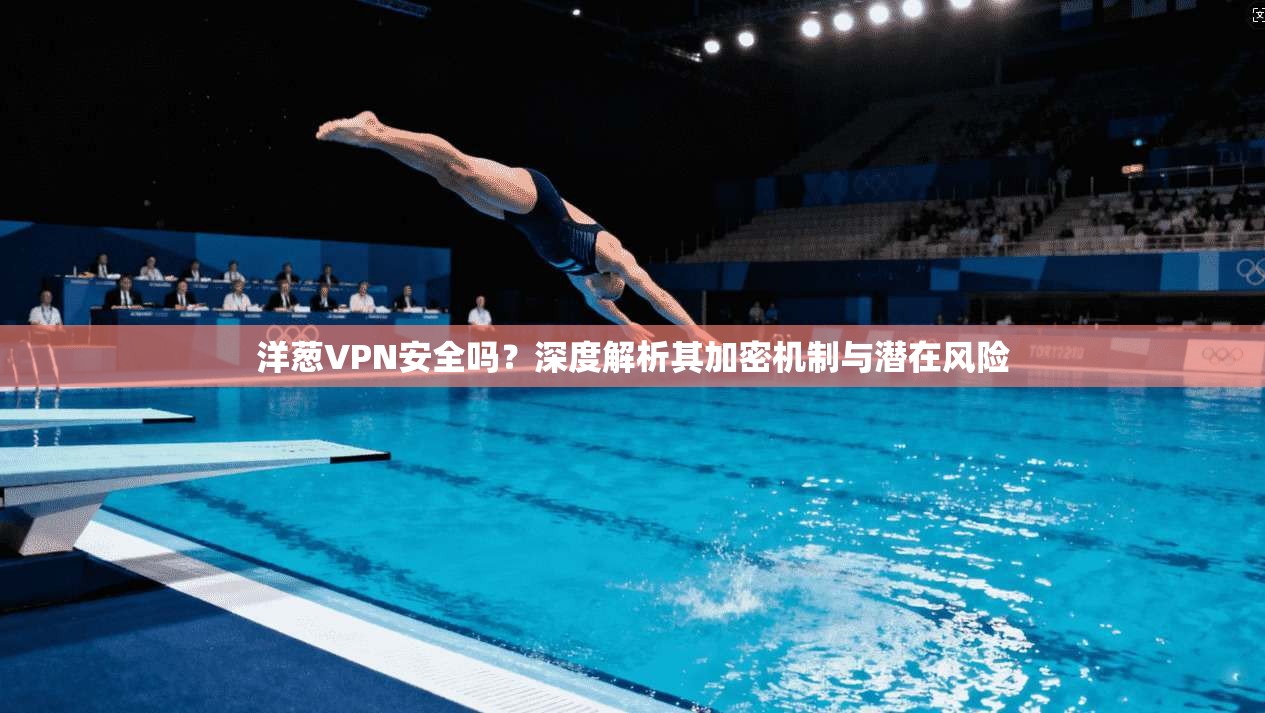 洋葱VPN安全吗?深度解析其加密机制与潜在风险