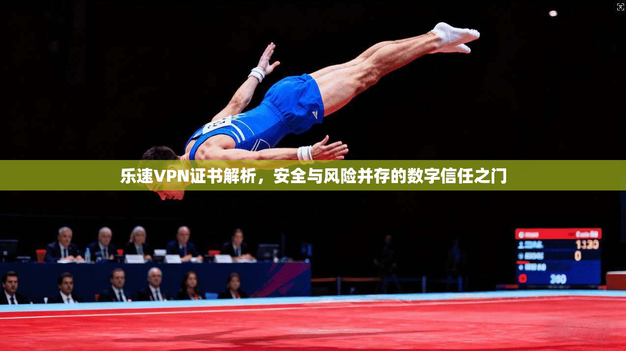 乐速VPN证书解析，安全与风险并存的数字信任之门