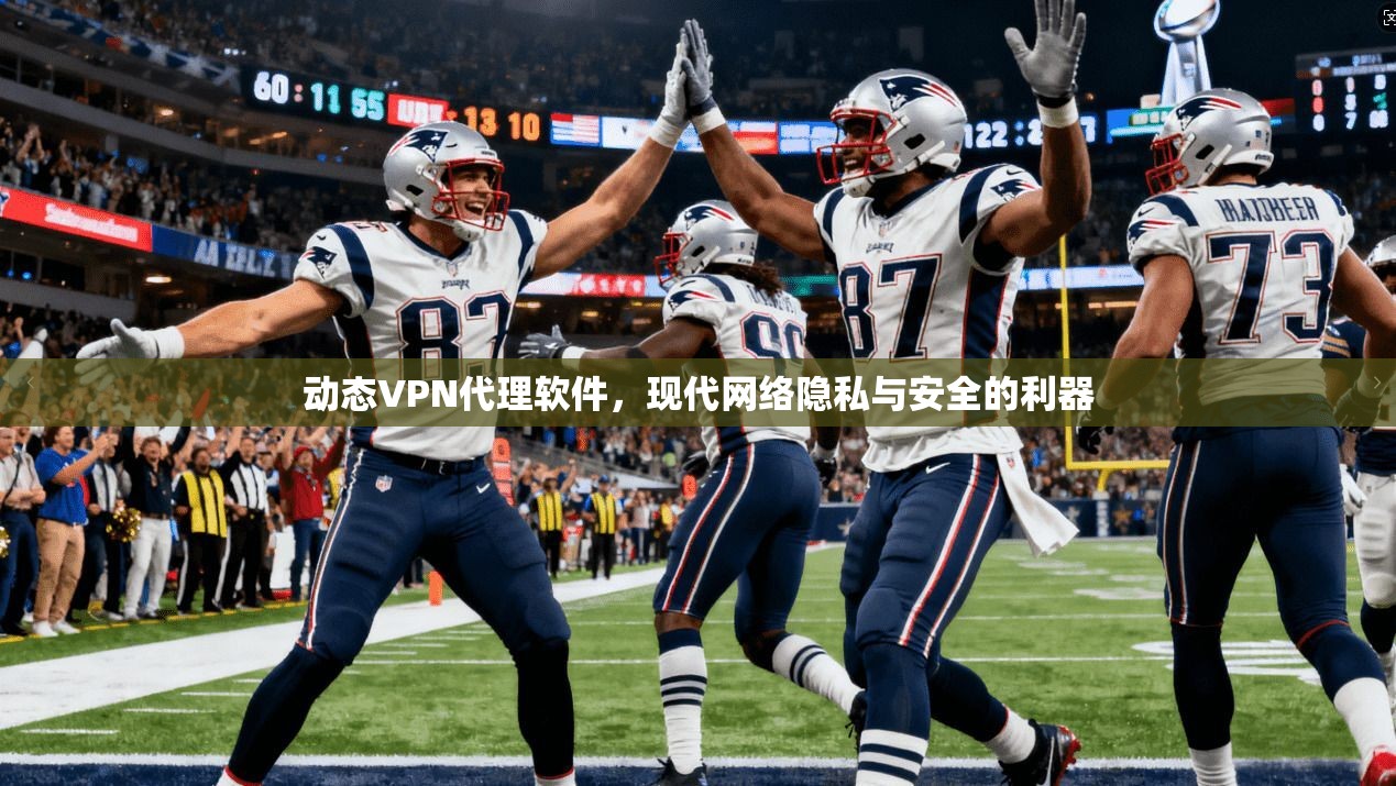 动态VPN代理软件,现代网络隐私与安全的利器