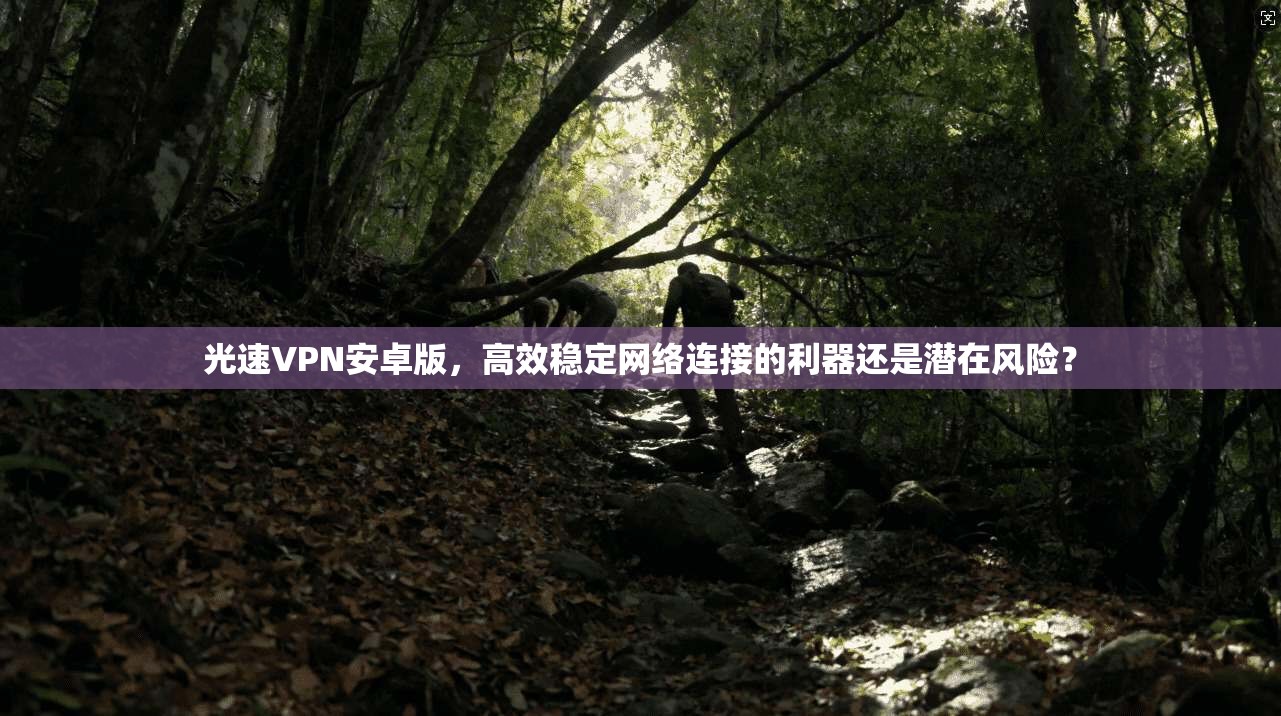 光速VPN安卓版，高效稳定网络连接的利器还是潜在风险？