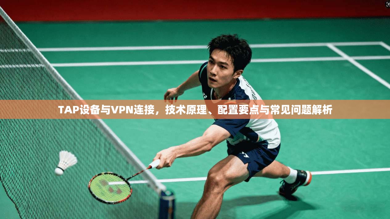 TAP设备与VPN连接，技术原理、配置要点与常见问题解析
